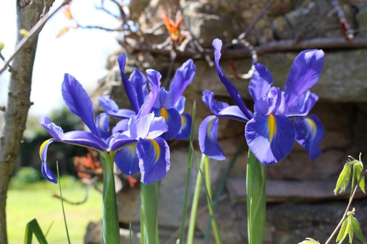 Mas Les Romarins, 10 Min D'Uzes, Grand Jardin, Nid De Repos Et Base Pour Activites Dans Le Gard, Max 8 Adultes Et 3 Enfants Villa Kültér fotó